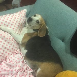 Meet your Posher, Isaiah